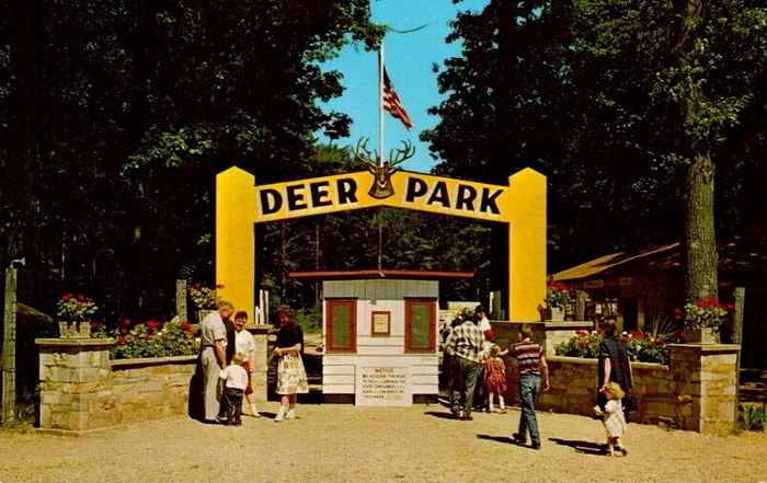 Michigans Adventure - 1960S POSTCARD AS DEER PARK
